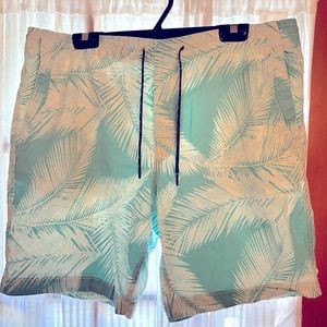 Men’s XL American Eagle Teal/White Palm Design Bathing Suit
